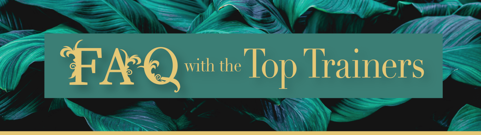 Header of FAQ with our Top Trainers over dark foliage